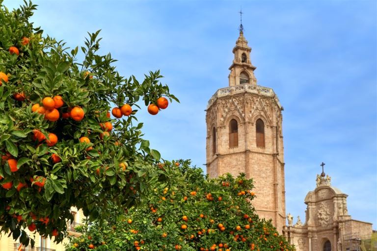 Entlang der Costa Blanca -Paella, Palmen und Meer ©Rostislav Glinsky /adobestock